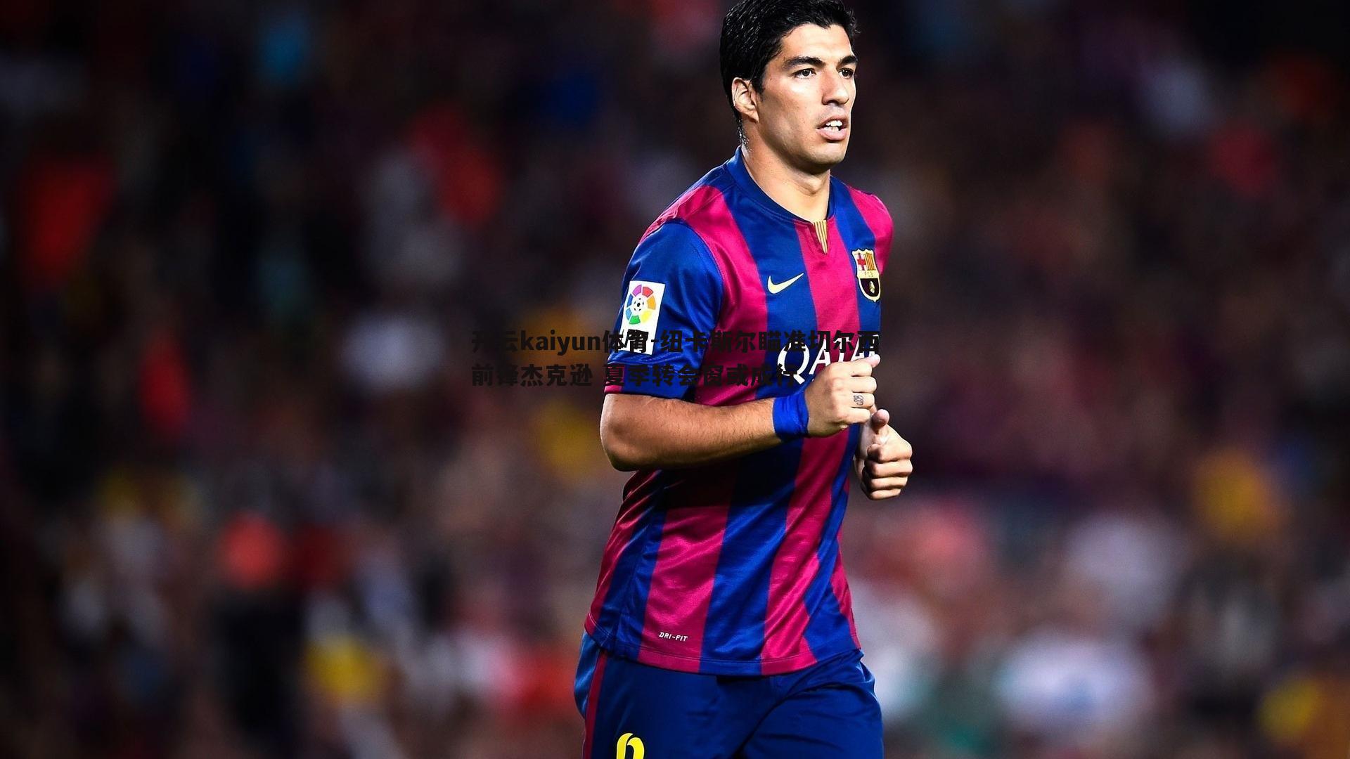 纽卡斯尔瞄准切尔西前锋杰克逊 夏季转会窗或成行